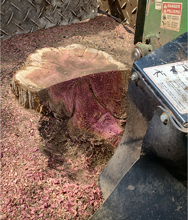 stump grinding